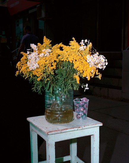 https://www.liadarjes.com/files/gimgs/th-43_05_v3.jpg